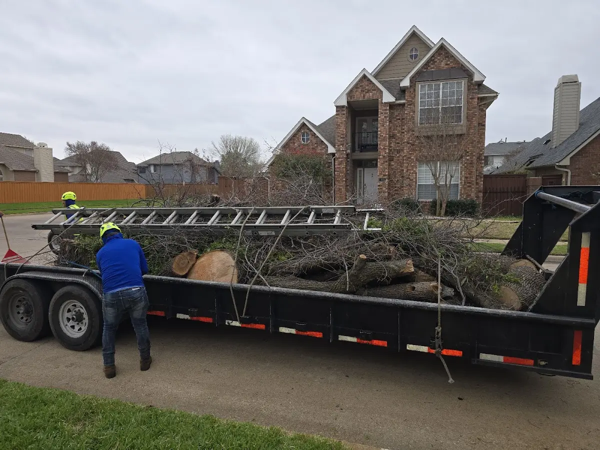 Expert Lot Clearing with proper safety equipment in Perry